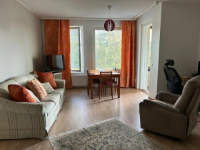 Tilava kolmio aseman vieressä kaksi makuuhuonetta in Vantaa